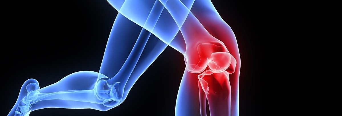 knee cartilage regeneration